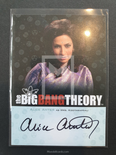 Alice Amter Mrs Koothrappali : Koothrappali in the american sitcom the big…»