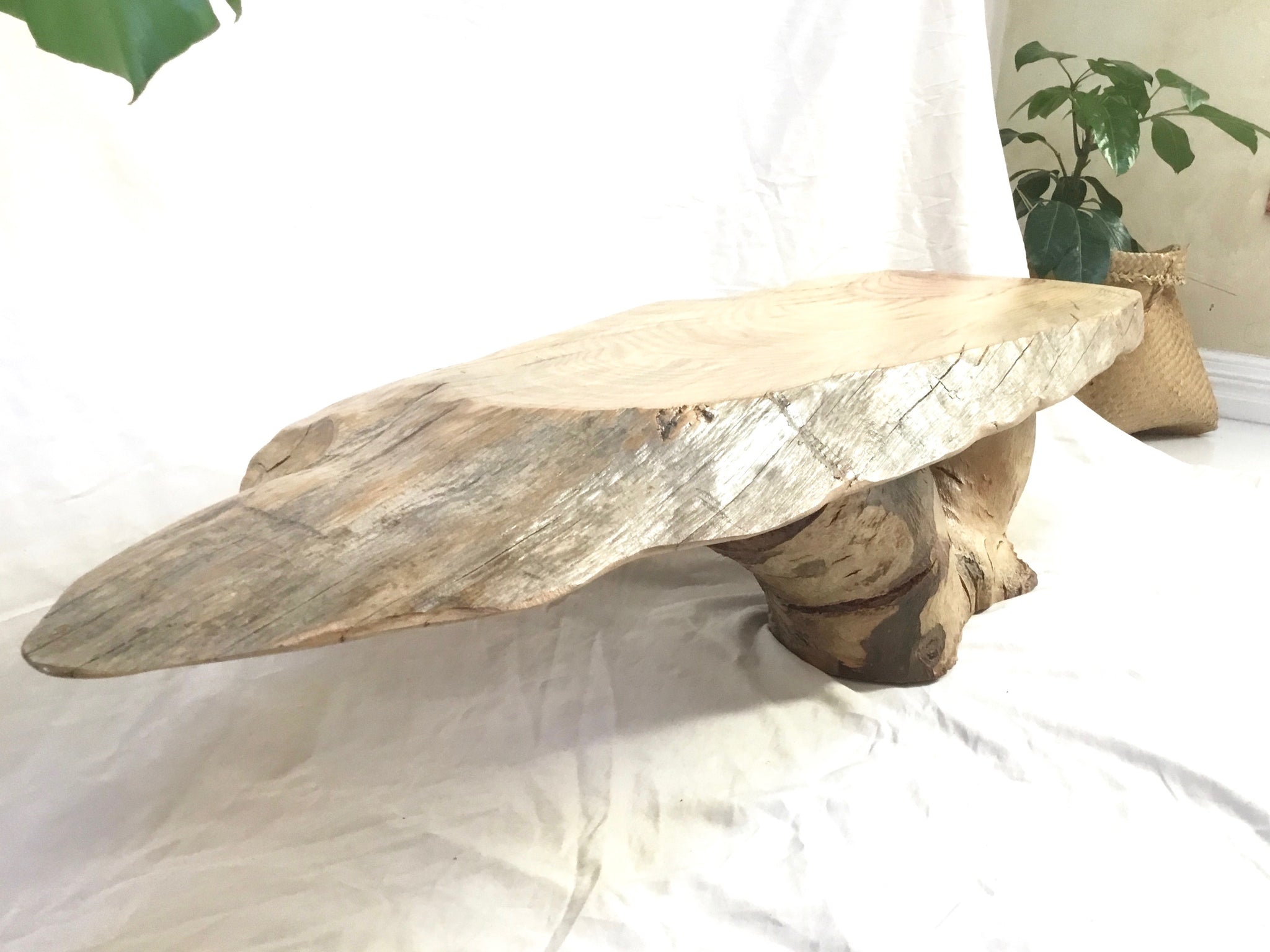 Live edge Coffee Table Tree trunk Tree stump Wood Perth 