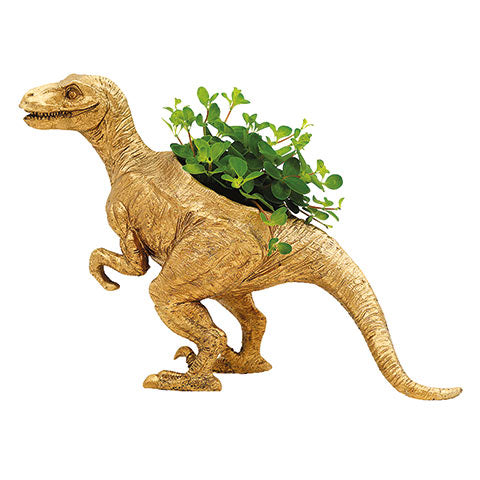 Morrisons dinosaur plant pots
