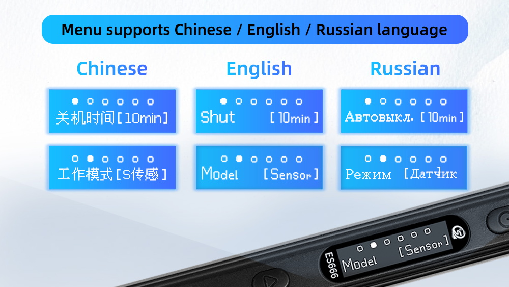 Multilingual Display