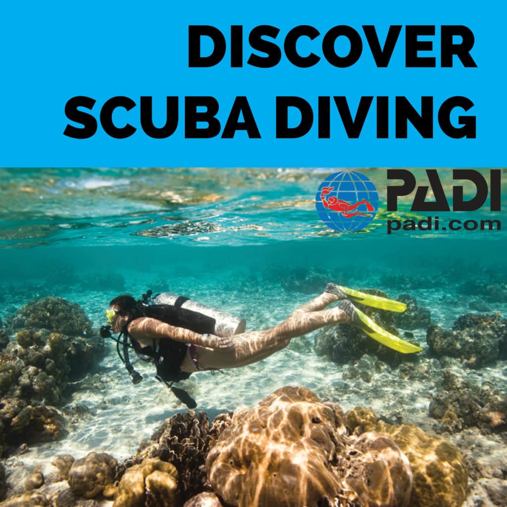 Discover Scuba Diving Easychango