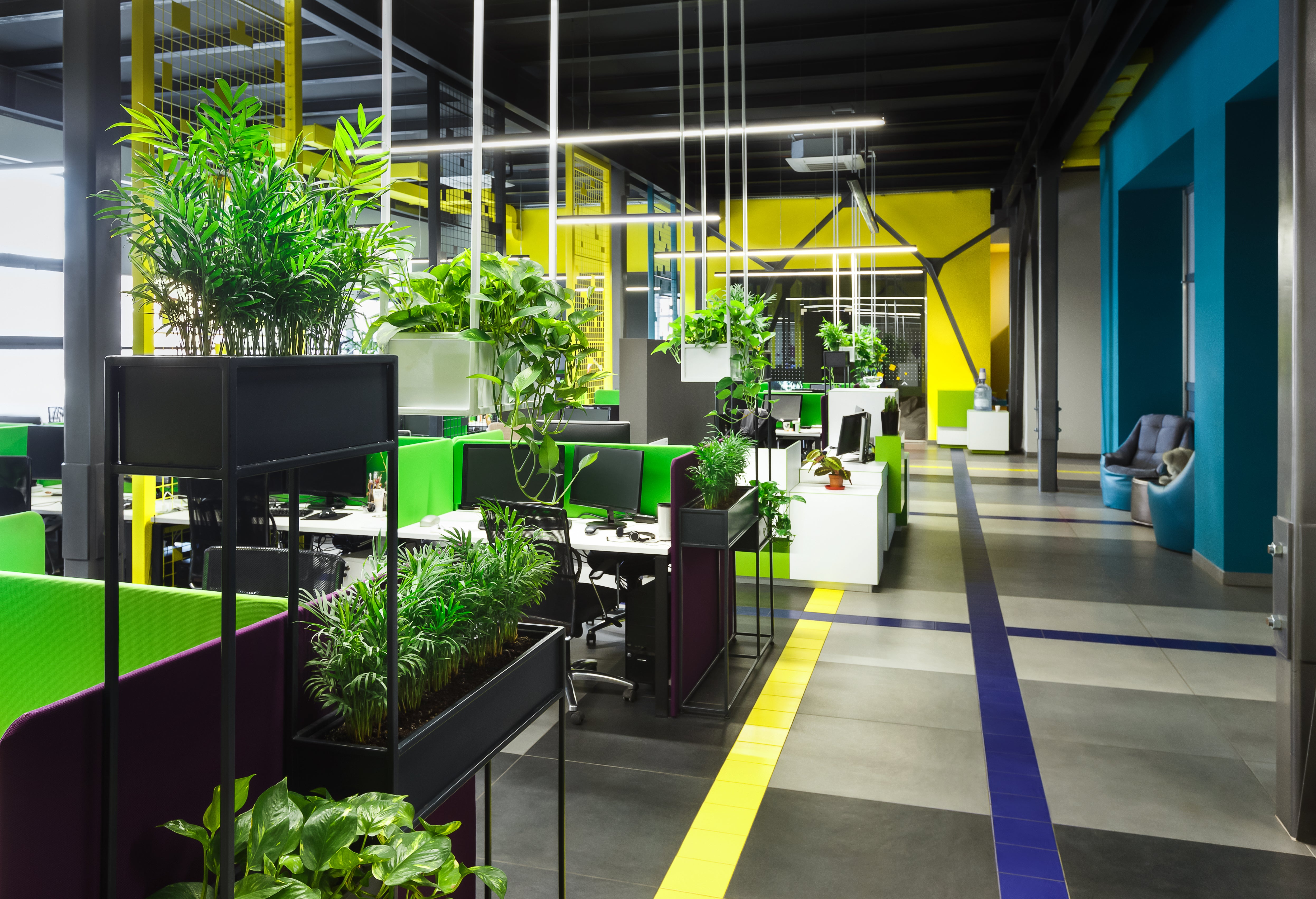 6 plantes à adopter au bureau pour un espace de travail green