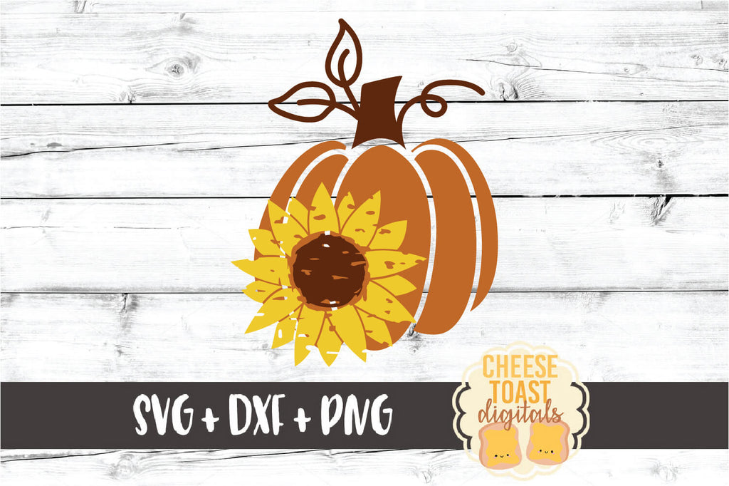 Download Sunflower Pumpkin Svg Free And Premium Svg Files Cheese Toast Digitals