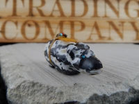 Bear Zuni Fetish Carving - Peter Gasper - High Lonesome Trading