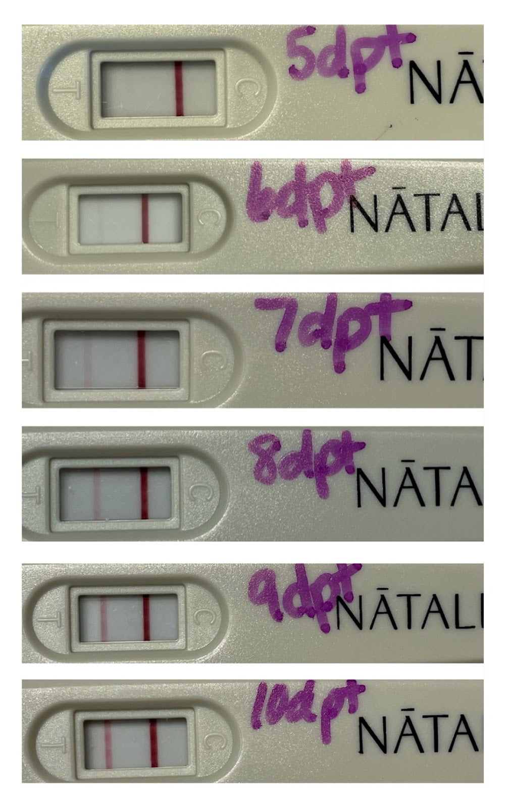 Pregnancy Test Results After a Frozen Embryo Transfer Natalist