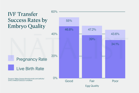 Graph showing ivf transfer success rates by embryo quality from Natalist Guide to IVF ebook