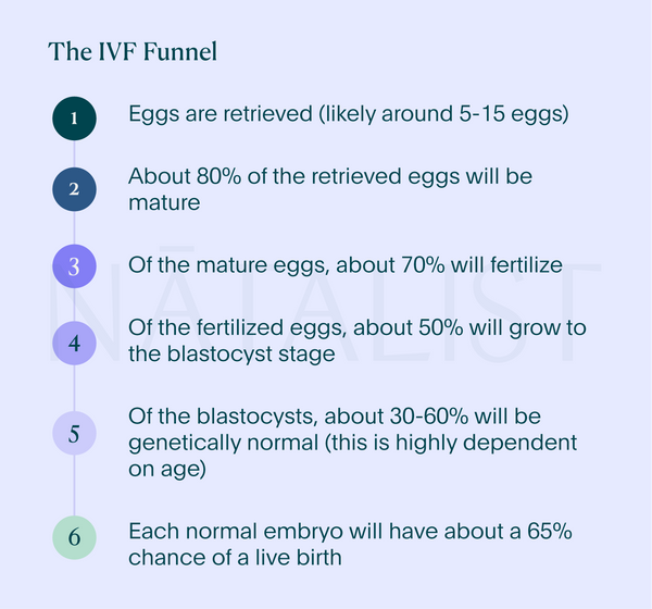 Illustration showing typical IVF funnel from Natalist guide to IVF ebook