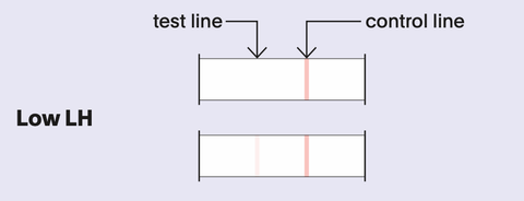 low LH test result