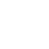 lock icon