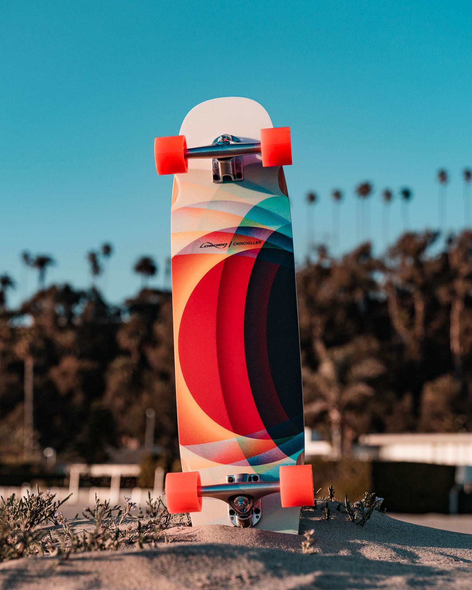 Loaded Chinchiller longboard skateboard