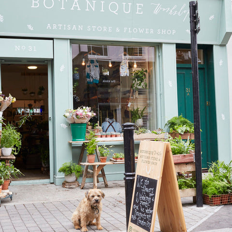 Botanique on Exmouth Market