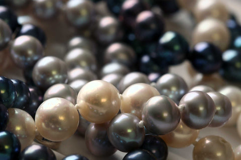 EC One stands of freshwater pearls