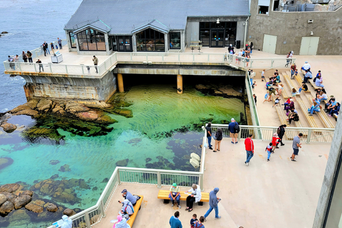 Tourist visiting Monterey Bay Aquarium overlooking the ocean