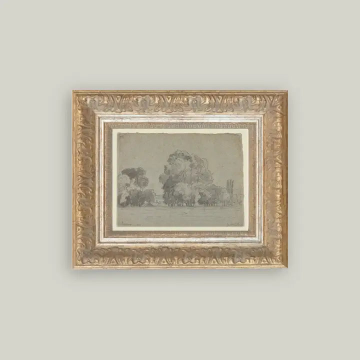 Grove of Trees Framed Print
