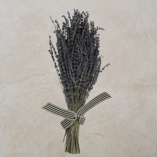 Dried Natural Lavender Bundle – Chic Artique