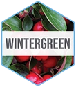Blue_Ingredient_Hexagon_Vert-Wintergreen.webp__PID:e18d17b7-2846-457c-a382-7eaf8ffc0fef