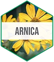 CSSO_Ingredient_Hexagon_Vert-Arnica.webp__PID:a45d4716-6cc2-4abc-9367-67998263a2de