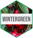 CSSO_Ingredient_Hexagon_Vert-Wintergreen.webp__PID:ada45d47-166c-42ba-bcd3-6767998263a2