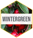 Foam_Ingredient_Hexagon_Vert-Wintergreen.webp__PID:a397ded6-5b75-4c3c-8923-5ec4a602d52a