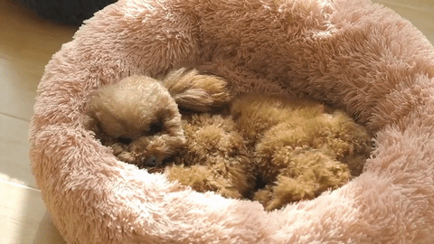 dog soothing bed epaws plush faux fur