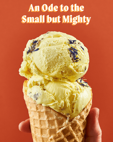 In Celebration of Bees: World Bee Day & our Flower Power Series – Salt &  Straw