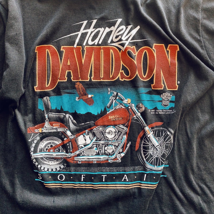 1980s Harley Davidson Softtail Desert Horizon Vintage T-Shirt