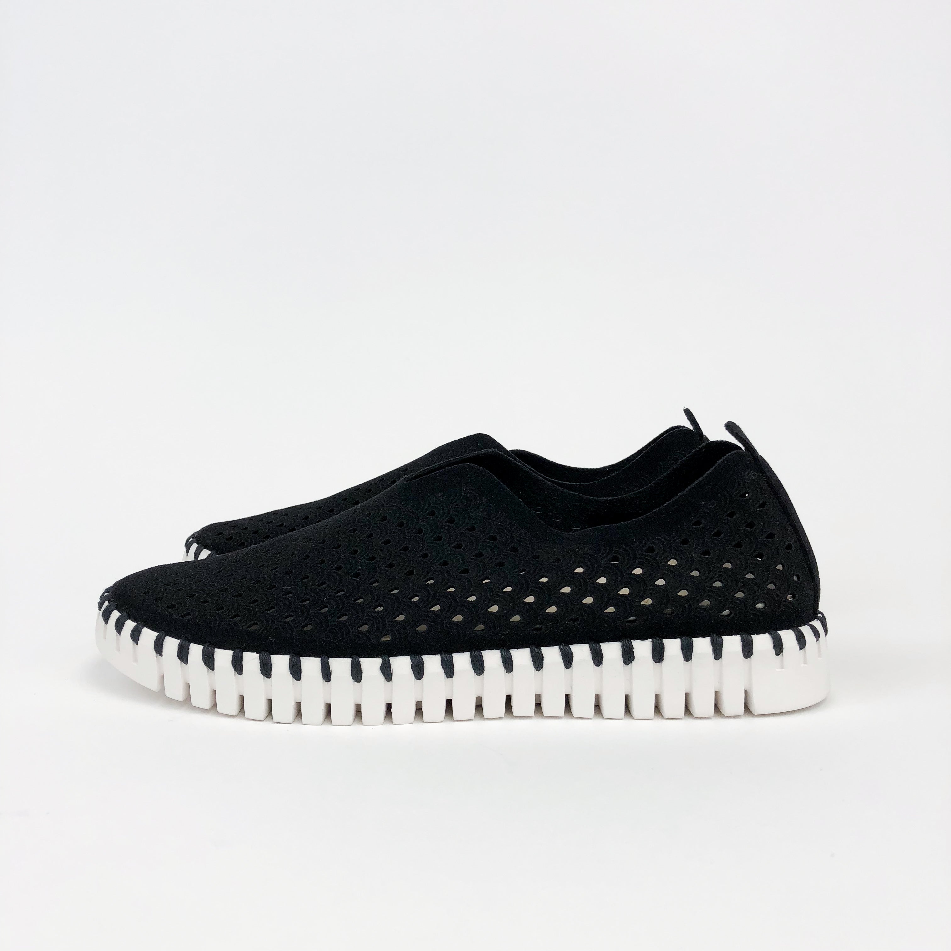 ilse jacobsen tulip black sole