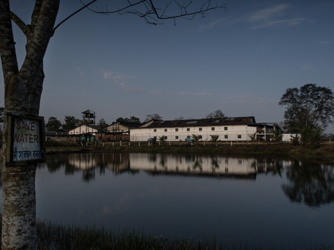 Aideobarie Tea Factory with a man-made pond for rainwater harvesting in the foreground.