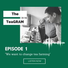 Tea Cachai Episode 1