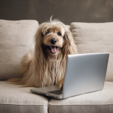 Portrait photo of a happy, relaxed long haired dog with an open mouth typing on a laptop computer in.jpeg__PID:9138df28-cb0d-4ac9-9f32-2a8defe65533