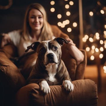 a happy staffordshire bullterrier dog with its relaxed owner stroking the dog, together in a an armc.jpeg__PID:7e461d77-485a-4043-9a02-b85b8da45b8f