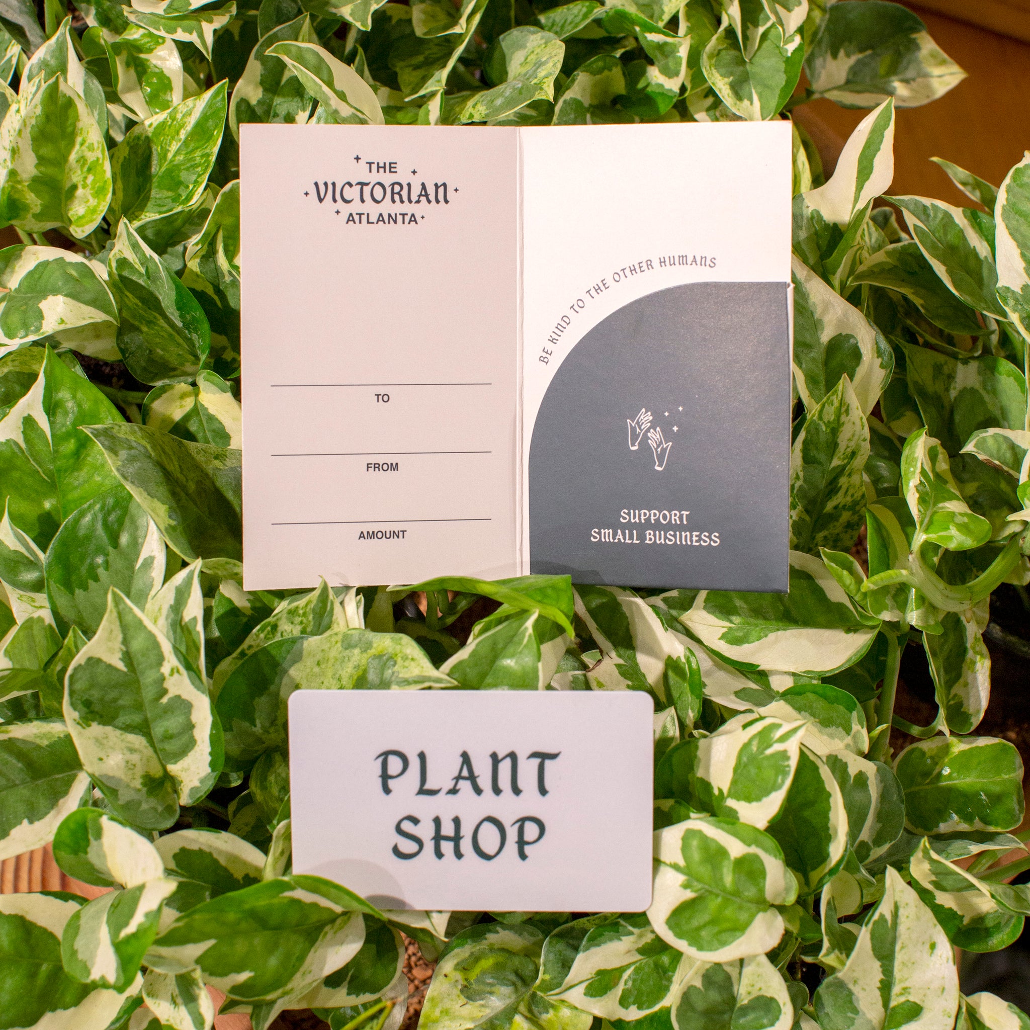 House Plant Sticker Pack » Pip & Cricket