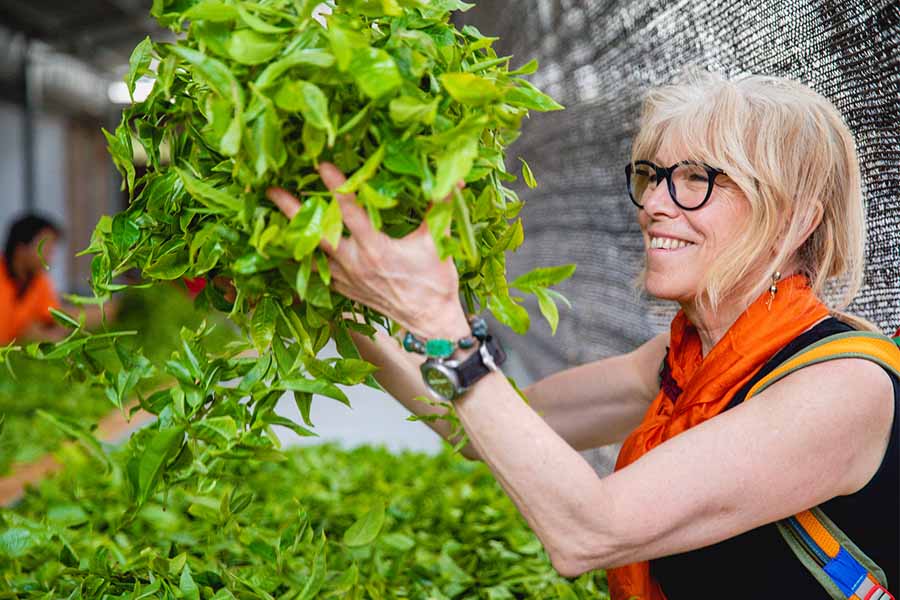 a woman smiles while picking up fresh loose tea leaves