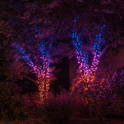 LED-Lichterbaum Twinkly Light Tree 4m RGB-AWW 750LED