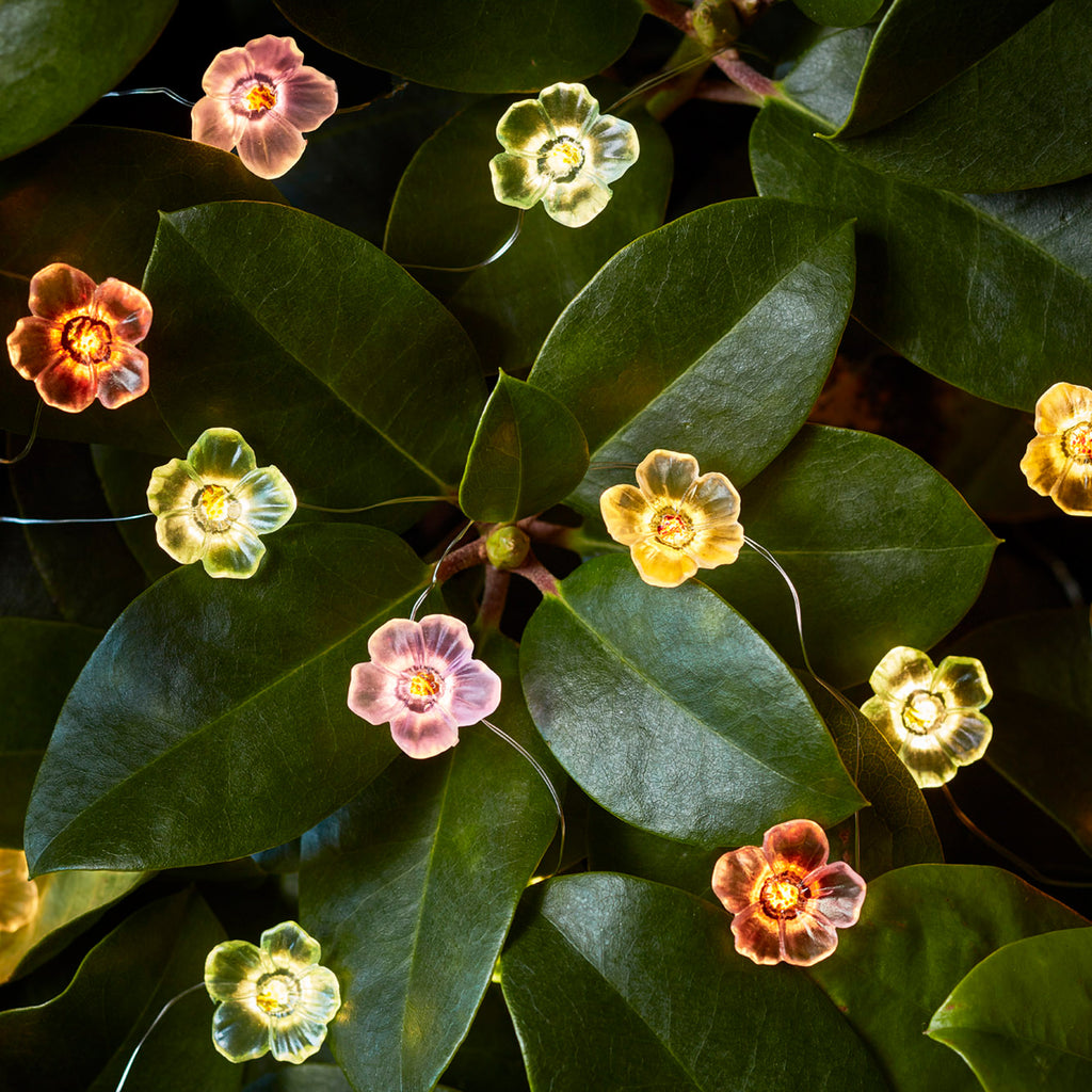 20 Multi Coloured Rose Micro Fairy Lights | Lights4fun.co.uk