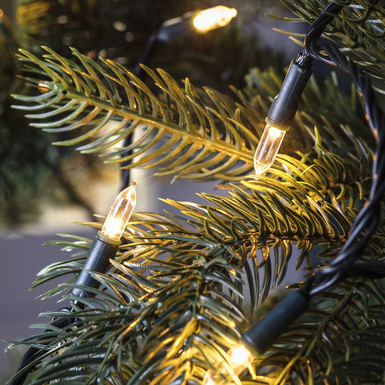 PL18035 100 Warm White Traditional Christmas Tree Lights Close P1 2000x2000 ?v=1571728570