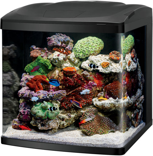 Finnex Marine+ 24/7 CMB Automated LED · Reeflifeaquariums.com