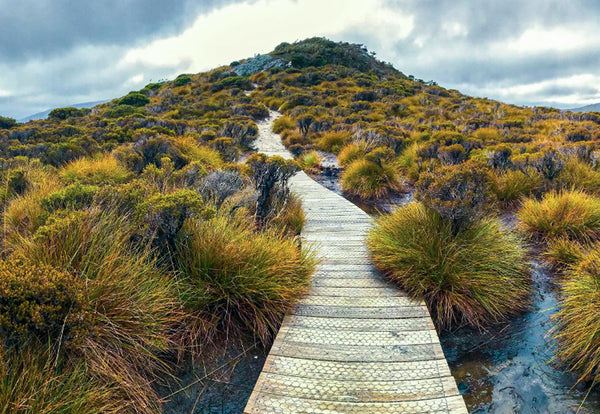 Cradle Mountain-Lake St Clair National Park