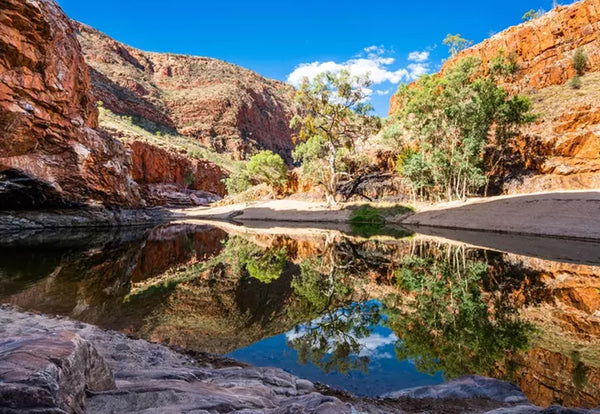 Larapinta Trail