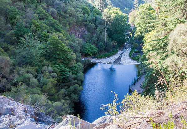 Mount Lofty Summit Hike