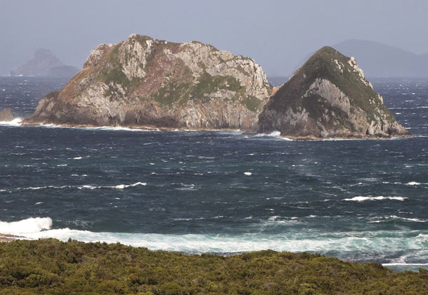 Southwest National Park Tasmania