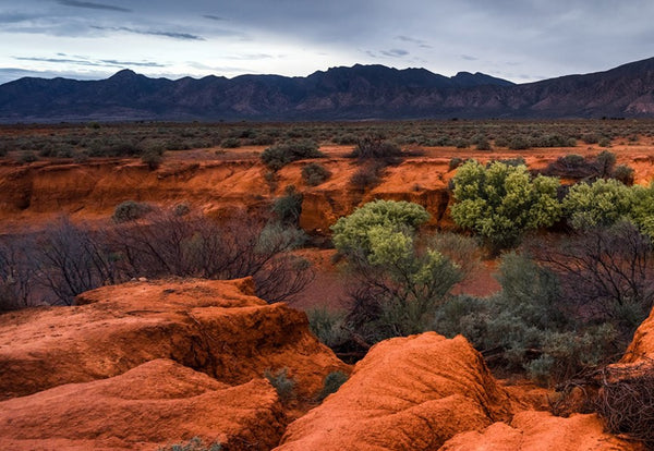 The Flinders Ranges