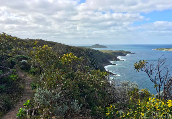 The Heysen Trail