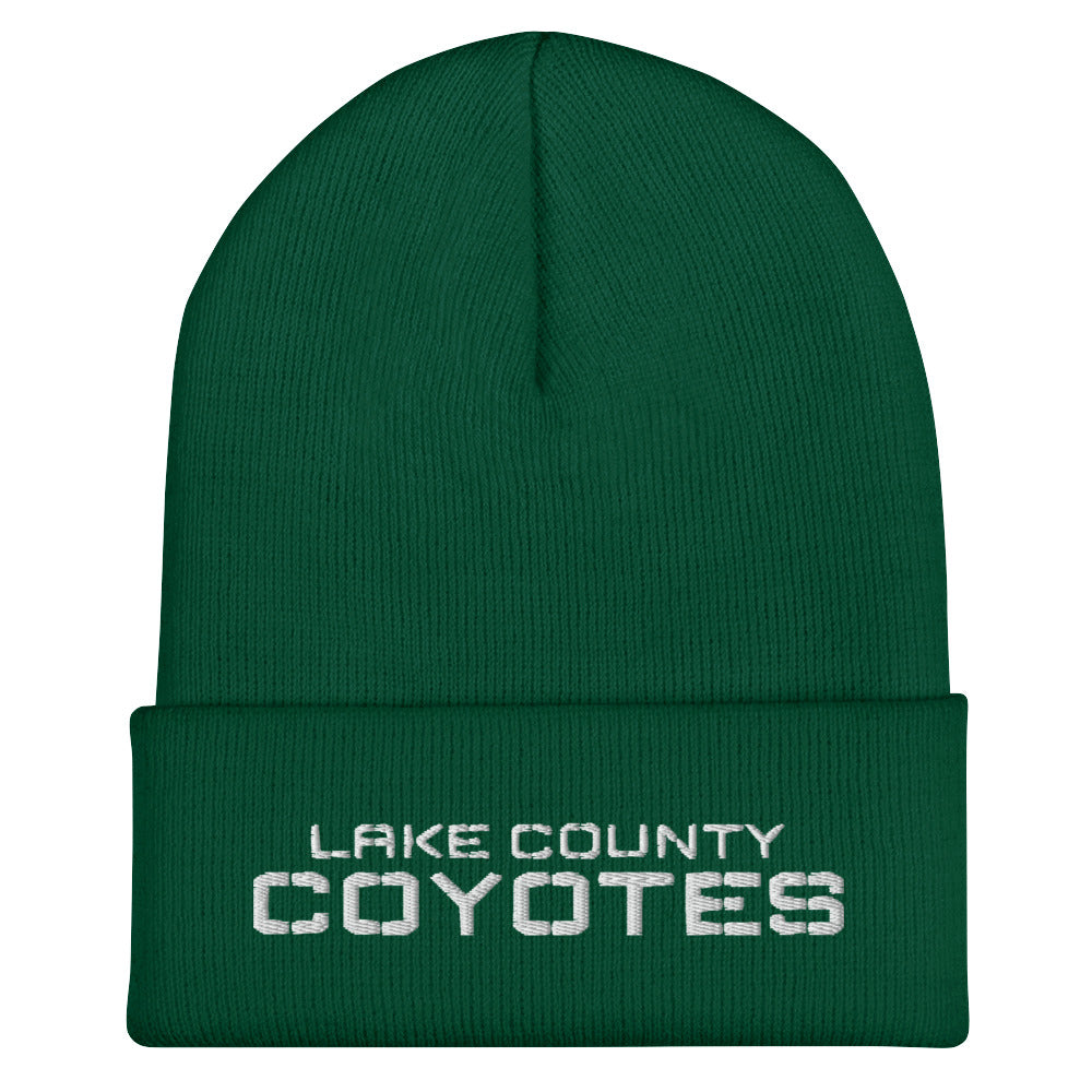 Lake County Cuffed Beanie