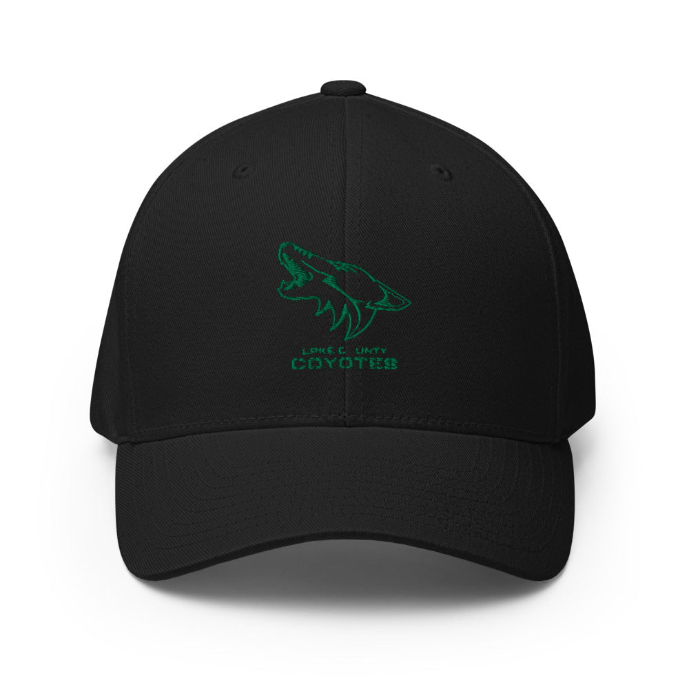 Lake County Flexfit Cap