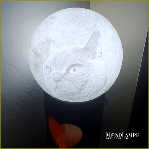 Kundenspezifische Mondlampe personalisiert mit Bild der Katze