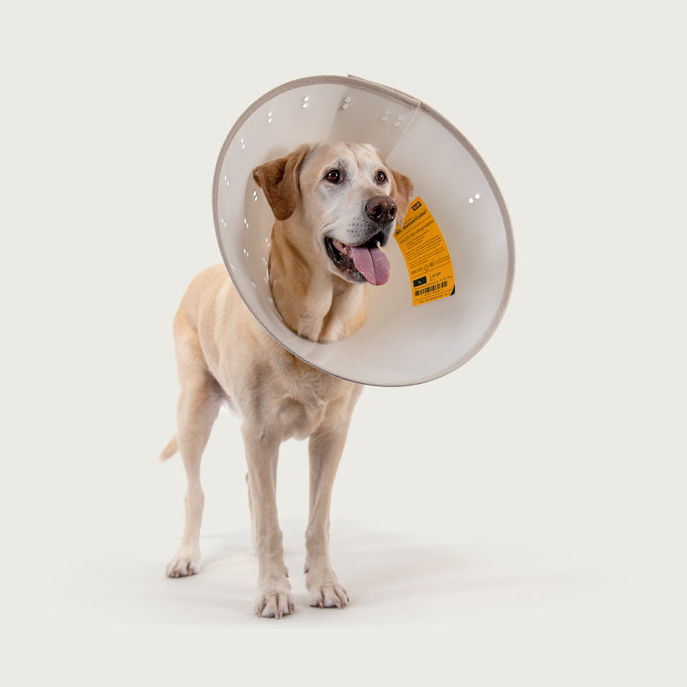 EZ Soft™ Dog E- Collar- Lightweight Soft Dog Cone – KVP International, Inc.