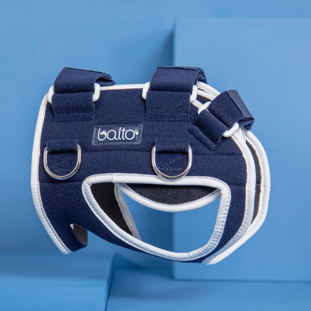 Balto® Body Lift – Body Harness with Handles