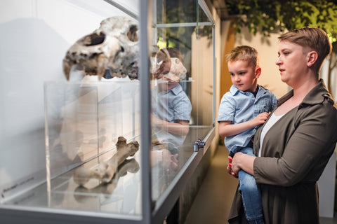 museum goers viewing a displayed ancient skull