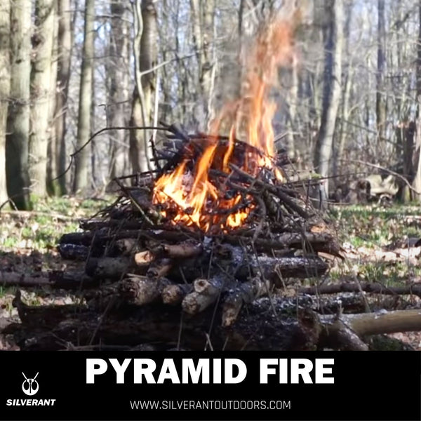 Pyramid fire SilverAnt